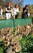 Туры в отель De Oude Meul Country Lodge