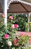 Туры в отель De Oude Meul Country Lodge