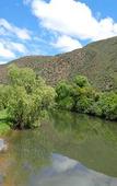 Туры в отель De Oude Meul Country Lodge