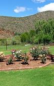 Туры в отель De Oude Meul Country Lodge