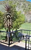 Туры в отель De Oude Meul Country Lodge