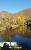 Туры в отель De Oude Meul Country Lodge