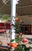 Туры в отель De Oude Meul Country Lodge