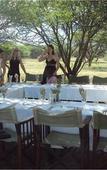 Туры в отель Ditholo Game Lodge