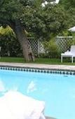 Туры в отель Rosenhof Boutique Hotel
