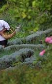 Туры в отель Rosenhof Boutique Hotel
