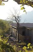 Туры в отель Shepherd's Tree Game Lodge