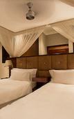 Туры в отель Shepherd's Tree Game Lodge