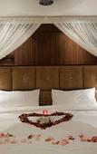 Туры в отель Shepherd's Tree Game Lodge