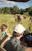 Туры в отель Shepherd's Tree Game Lodge