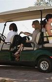 Туры в отель Shepherd's Tree Game Lodge