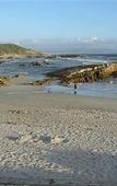 Туры в отель Milkwood Lodge - Hermanus