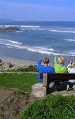 Туры в отель Milkwood Lodge - Hermanus