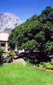 Туры в отель Milkwood Lodge - Hermanus