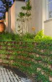 Туры в отель Forest Manor Boutique Guesthouse