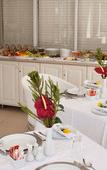 Туры в отель Forest Manor Boutique Guesthouse