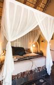 Туры в отель B&B African Rock Lodge