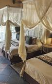 Туры в отель B&B African Rock Lodge