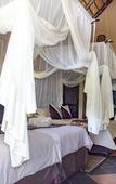 Туры в отель B&B African Rock Lodge
