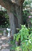 Туры в отель 3Liebeloft Guest House