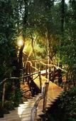 Туры в отель Trogon House and Forest spa