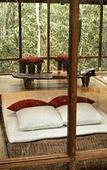 Туры в отель Trogon House and Forest spa