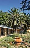 Туры в отель Hoyohoyo Chartwell Lodge