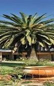 Туры в отель Hoyohoyo Chartwell Lodge