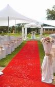 Туры в отель Hoyohoyo Chartwell Lodge
