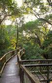 Туры в отель Malkoha Lake St. Lucia