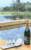 Туры в отель Botlierskop Bush Villas
