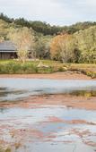 Туры в отель Botlierskop Bush Villas