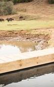 Туры в отель Botlierskop Bush Villas