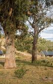 Туры в отель Botlierskop Bush Villas