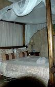 Туры в отель Trees Too Guest Lodge