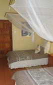 Туры в отель Trees Too Guest Lodge