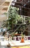 Туры в отель The Lofts Boutique Hotel
