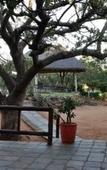 Туры в отель Tshukudu Game Lodge