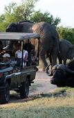 Туры в отель Tshukudu Game Lodge