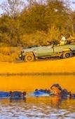 Туры в отель Tshukudu Game Lodge