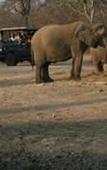 Туры в отель Tshukudu Game Lodge