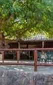Туры в отель Tshukudu Game Lodge