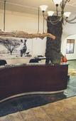 Туры в отель Tshukudu Game Lodge