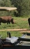 Туры в отель Tshukudu Game Lodge