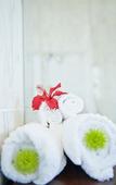 Туры в отель The Saint James on Venice Luxury Guest House