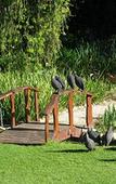 Туры в отель Pumula Lodge Guesthouse Knysna