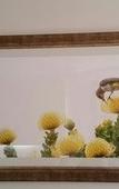 Туры в отель Pumula Lodge Guesthouse Knysna