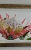 Туры в отель Pumula Lodge Guesthouse Knysna
