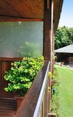 Туры в отель Pumula Lodge Guesthouse Knysna