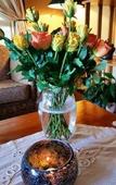 Туры в отель Pumula Lodge Guesthouse Knysna